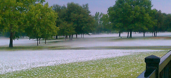 hail stones on grass