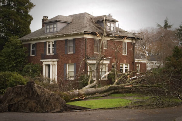 roof with wind damage